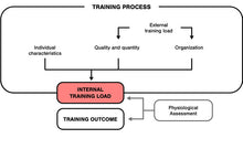 Load image into Gallery viewer, The Training Process involves several elements, including internal and external training load, to produce the Training Outcome. (Adapted from Impellizeri, et al., 2005).

